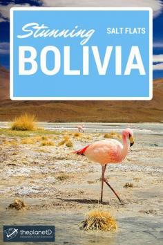 
                    
                        Bolivian Salt Flats – rough and stunning scenery | The Planet D Adventure Travel Blog | Bolivia’s rough landscape requires a SUV and brings you to altitudes of 4,000 meters and higher. It is the thin air, hot days and damn cold nights that makes life hard in the Andean Plateau.
                    
                