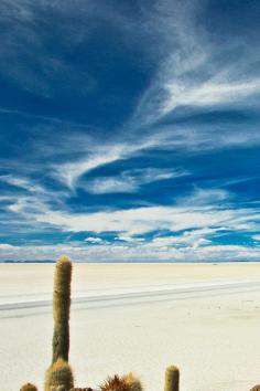 
                    
                        Bolivian Salt Flats – rough and stunning scenery  * click to see entire photo * The Planet D Adventure Travel Blog
                    
                