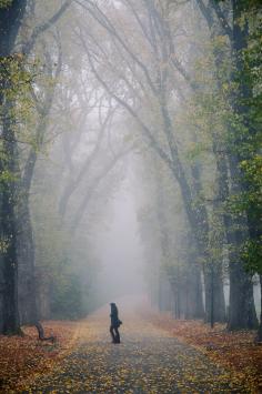 Fitzroy gardens, Melbourne #Australia #Melbourne #parks #gardens #Fitzroy