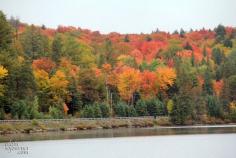 
                    
                        Lake of Two Rivers Campground Office, Ontario, Canada - Take the...
                    
                