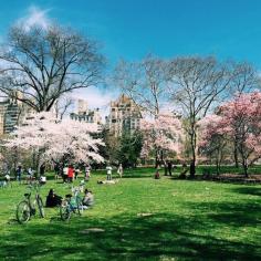 
                    
                        Biking in Central Park, New York City
                    
                