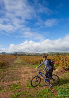 
                    
                        Go biking in the Barossa Valley, South Australia
                    
                