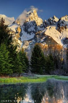 
                    
                        Grand Teton National Park, Wyoming, USA
                    
                