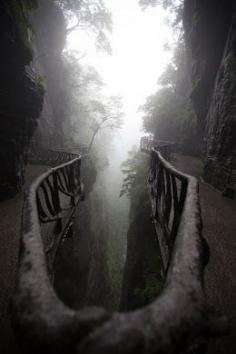 
                    
                        ©Jens Schott Knudsen      Zhangjiajie ﻿China
                    
                