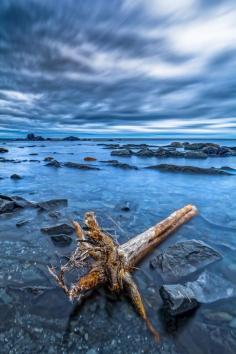 
                    
                        Driftwood at Sea  www.gordfollettph...
                    
                