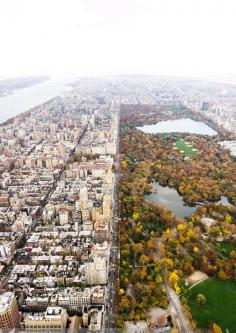 
                    
                        New York from above #nyc
                    
                