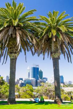 
                    
                        Kings Park, Perth, Western Australia
                    
                