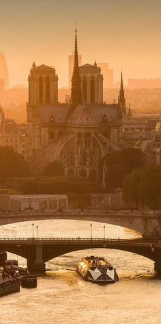 
                    
                        Golden Hour: Cathédrale Notre-Dame, Paris, France
                    
                