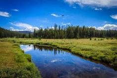 
                    
                        Bear Valley Creek in the Boise National Forest. Taken from the bridge near the intersection of Forest road #582 and #563
                    
                