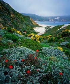 
                    
                        America's Best Secret National Parks: Channel Islands, California
                    
                