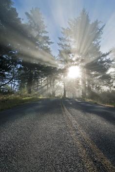 
                    
                        Into the light. I woke early trying to catch a sunrise at the but woke up later than expected. I got this view instead, it only lasted a minute. Asphalt road isn't the most interesting thing to shoot but hey, I like roads, they take me to cool palces around the world...fast. Discovered by Always Wanderlust at HI Point Reyes, Marin County, California
                    
                