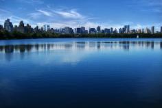 
                    
                        The East River Run Central Park
                    
                