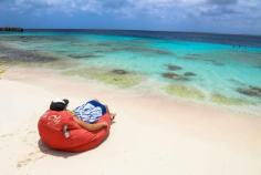 
                    
                        16 Reasons Bonaire Rocks - Caribbean Island
                    
                