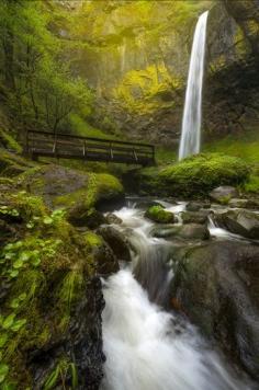 
                    
                        Elowah Falls The Columbia River Gorge is a canyon of the Columbia River in the Pacific Northwest of the United States.
                    
                