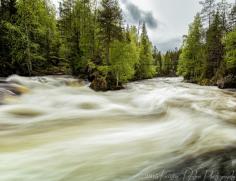 
                    
                        Myllykoski, Kuusamo, Finland - Oulanka National Park, near Ruka in...
                    
                