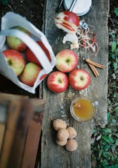 
                    
                        Fall means apples, and apples means cider and donuts. Cities and town all throughout Missouri kick off the fall season with festivals celebrating the apple harvest. Come enjoy one of the Midwest"s greatest fall traditions.
                    
                