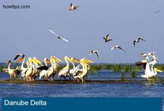 
                    
                        Danube Delta | HowTipz
                    
                