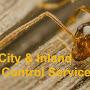 Pest control Perth