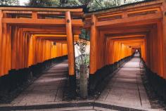 
                    
                        Fushimi inari /Kyoto,Japan by Yuma Yamashita
                    
                