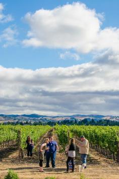 
                    
                        Wine tasting in Sonoma County, California
                    
                