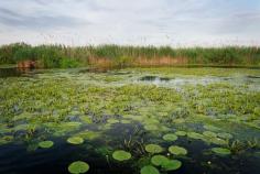 
                    
                        Danube Delta | HowTipz
                    
                