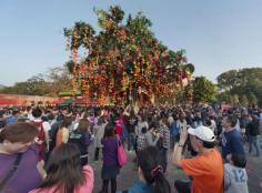 
                    
                        Lam Tsuen Wishing Tree: 11 Unusual Things to see and do in Hong Kong
                    
                