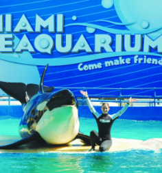 Miami Seaquarium