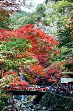 Minoh Waterfall, Osaka, Japan 箕面の滝