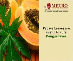 #Health Tips
#Papaya Leaves are useful to cure #Dengue fever.
http://bit.ly/2jvzaRd