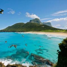 Gallery - Arajilla Retreat on Lord Howe Island