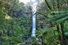 ATTRACTIONS - Cumberland River Holiday Park Great Ocean Road