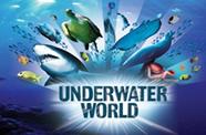 The Sunshine Coast Underwater World Theme Park is a must see for all visitors.