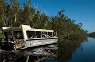 Enjoy a Sunshine Coast scenic river or canal cruise