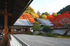 Kyoto Travel Guide