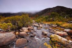 Mt Field and Tarns 1