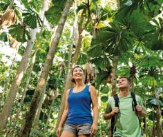 Daintree_rainforestpalms_couple