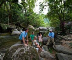 Mossman Gorge day trips