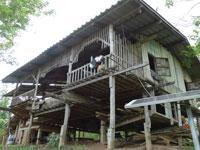 Farmer's Lodge at Tigerland Rice Farm