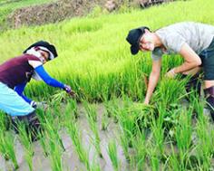 Chiang May Ling and Eng Ting Ting at TigerlandRiceFarm