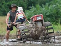 Dave Yak and son at Tigerland Rice Farm