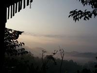 Dusk at Tigerland Rice Farm