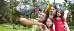 Bali Bird Park