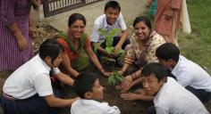 Herb Nepal - Organic Farm