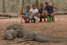 Komodo National Park in Komodo & Rinca Islands - Lonely Planet