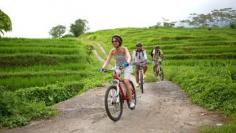 Jatiluwih Rice Paddy Bike Tour