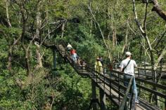 Thenmala is an eco tourism  destination located in Kerala. It is a paradise destination for all nature lovers. Plan your Kerala holiday packages to this wonderful and picturesque destination.