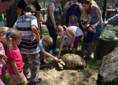 Giraffe Ranch Farm Tours – Photo Gallery