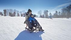 Toboggan fun on the Gurten | Switzerland Tourism