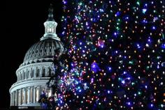 Christmas Tree in front of Capitol in Chicago