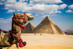 Image result for egypt